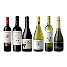 【セット】厳選チリ赤･白･泡ワイン6本セット / オリジナル ◎(Red, white, bubble wine six bottle set ◎)